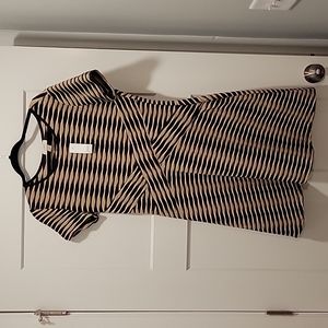 Loft NWT black and Tan Spandex Dress